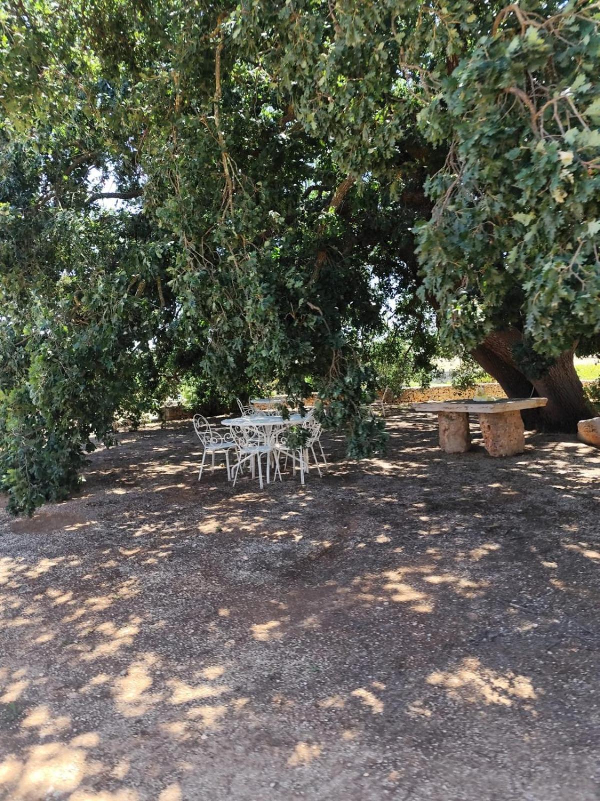 Masseria Palmo Francavilla Fontana Zewnętrze zdjęcie