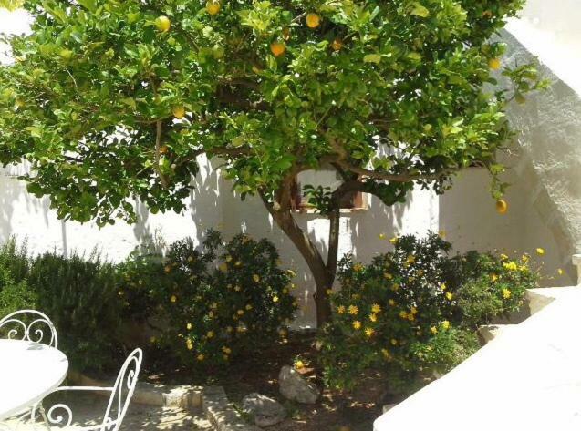 Masseria Palmo Francavilla Fontana Zewnętrze zdjęcie